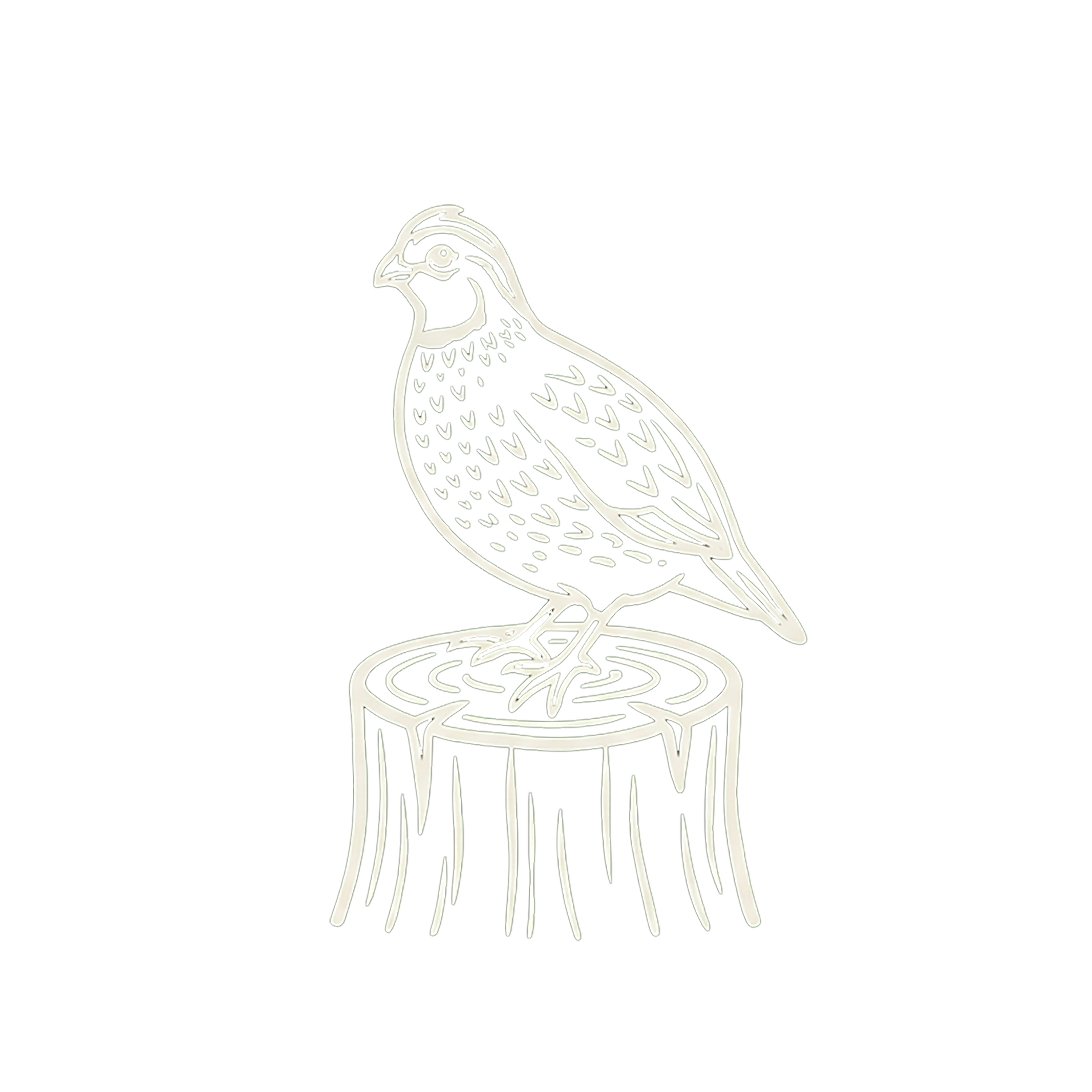 bobwhiteandco.com
